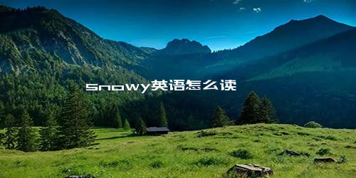snowy英语怎么读