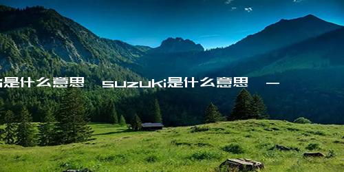 uki是什么意思「suzuki是什么意思」-短句-句子