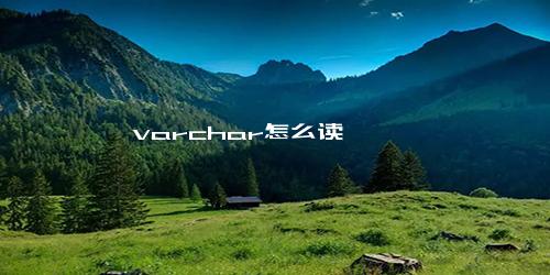 varchar怎么读