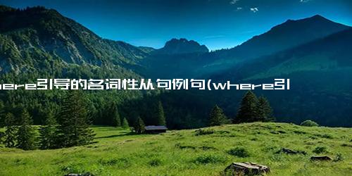 where引导的名词性从句例句(where引导名词性从句)