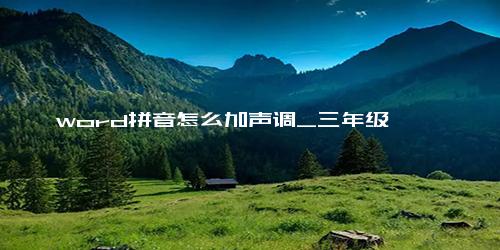 word拼音怎么加声调_三年级