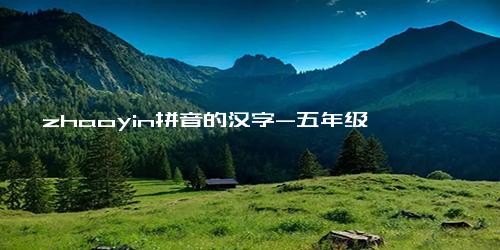 zhaoyin拼音的汉字-五年级