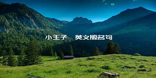 《小王子》英文版名句
