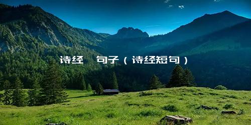 《诗经》句子（诗经短句）