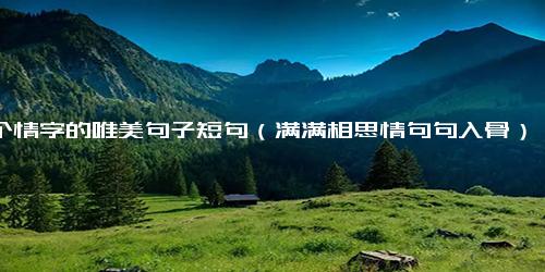 一个情字的唯美句子短句（满满相思情句句入骨）
