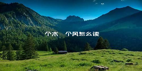 一个木一个风怎么读