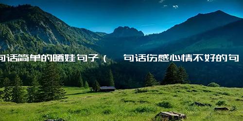 一句话简单的晒娃句子（一句话伤感心情不好的句子）