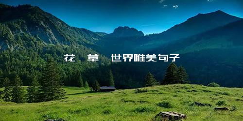 一花一草一世界唯美句子