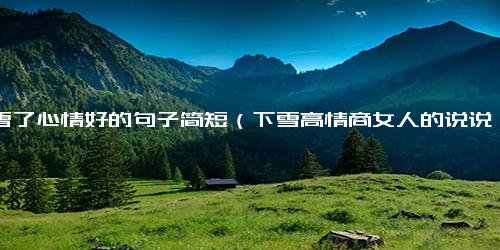 下雪了心情好的句子简短（下雪高情商女人的说说）