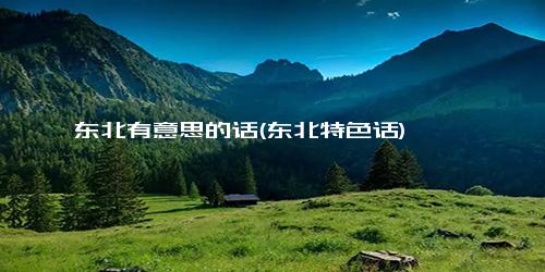 东北有意思的话(东北特色话)