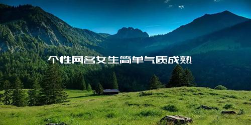个性网名女生简单气质成熟