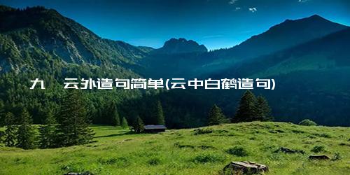 九霄云外造句简单(云中白鹤造句)