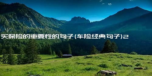 买保险的重要性的句子(车险经典句子)2