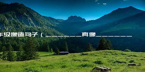 二年级像造句子（______真像______句子）