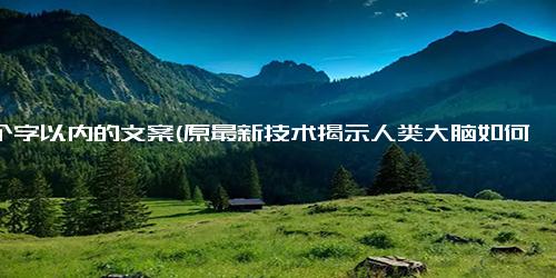 五个字以内的文案(原最新技术揭示人类大脑如何认知时间后揭示大脑认知时间的新技术)