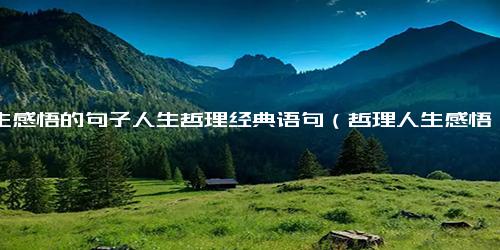 人生感悟的句子人生哲理经典语句（哲理人生感悟名句）