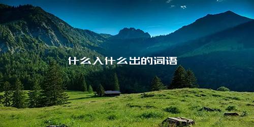 什么入什么出的词语