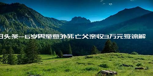 今日头条-6岁男童意外死亡父亲收3万元签谅解书