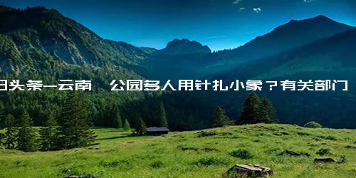 今日头条-云南一公园多人用针扎小象？有关部门在协助调查