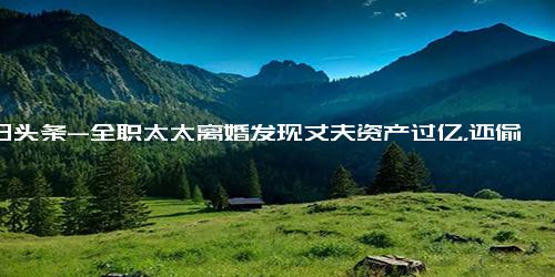 今日头条-全职太太离婚发现丈夫资产过亿，还偷偷转移了18套商铺