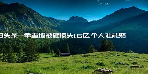 今日头条-承重墙被砸损失1.6亿，个人谁能赔付的起？建议大家购买房屋保险