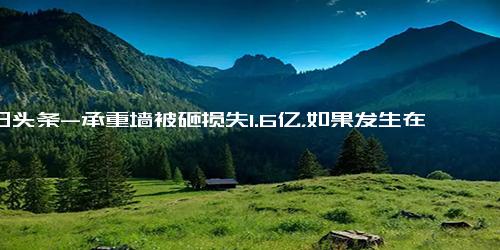 今日头条-承重墙被砸损失1.6亿，如果发生在我头上怎么办？