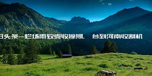 今日头条-烂场雨致麦收撞期，一台到河南收割机被安徽村民热情友好留下就地作业