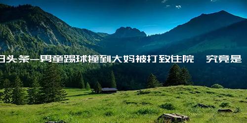 今日头条-男童踢球撞到大妈被打致住院,究竟是怎么一回事？