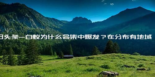 今日头条-白蚁为什么会集中爆发？在分布有地域上的区别吗？