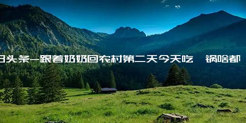 今日头条-跟着奶奶回农村第二天今天吃一锅啥都有的柴火鸡