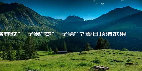 价格暴跌“妃子笑”变“妃子哭”？夏日顶流水果大跳水