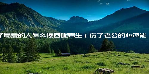 伤了最爱的人怎么挽回呢男生（伤了老公的心还能挽回吗）