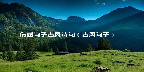 伤感句子古风诗句（古风句子）