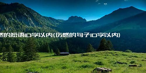 伤感的短语10字以内(伤感的句子10字以内)