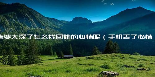 伤老婆太深了怎么找回她的心情呢（手机丢了心情不好怎么办）