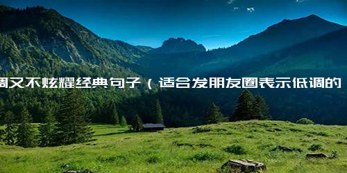 低调又不炫耀经典句子（适合发朋友圈表示低调的句子）.docx-免费下载(word版可打印)