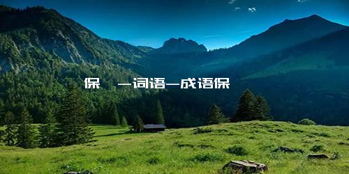 保镖-词语-成语保镖