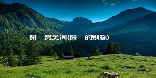 保镖赞美词(保镖的别称)