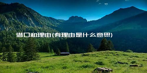 借口和理由(有理由是什么意思)