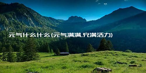 元气什么什么(元气满满，充满活力)