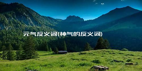 元气反义词(神气的反义词)