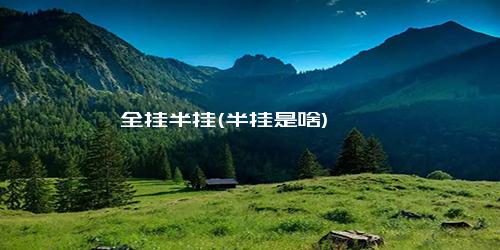 全挂半挂(半挂是啥)
