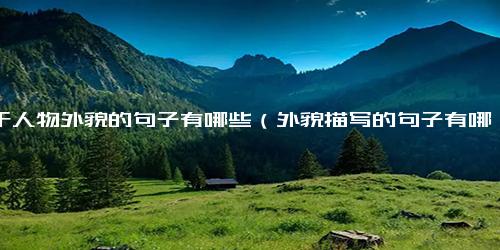 关于人物外貌的句子有哪些（外貌描写的句子有哪些）