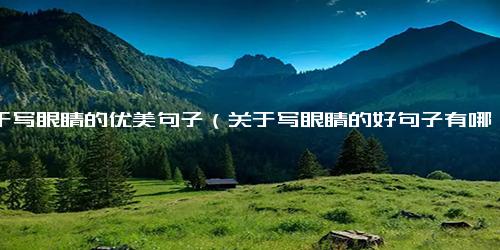 关于写眼睛的优美句子（关于写眼睛的好句子有哪些）