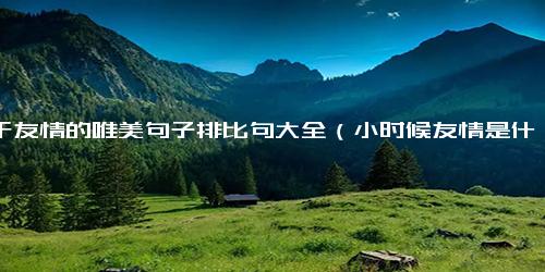关于友情的唯美句子排比句大全（小时候友情是什么排比句唯美）