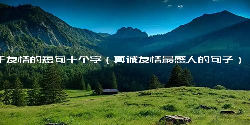 关于友情的短句十个字（真诚友情最感人的句子）
