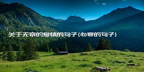 关于无奈的爱情的句子(心寒的句子)