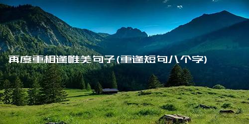 再度重相逢唯美句子(重逢短句八个字)