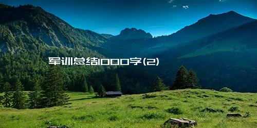 军训总结1000字(2)
