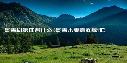 冬青树象征着什么(冬青木寓意和象征)